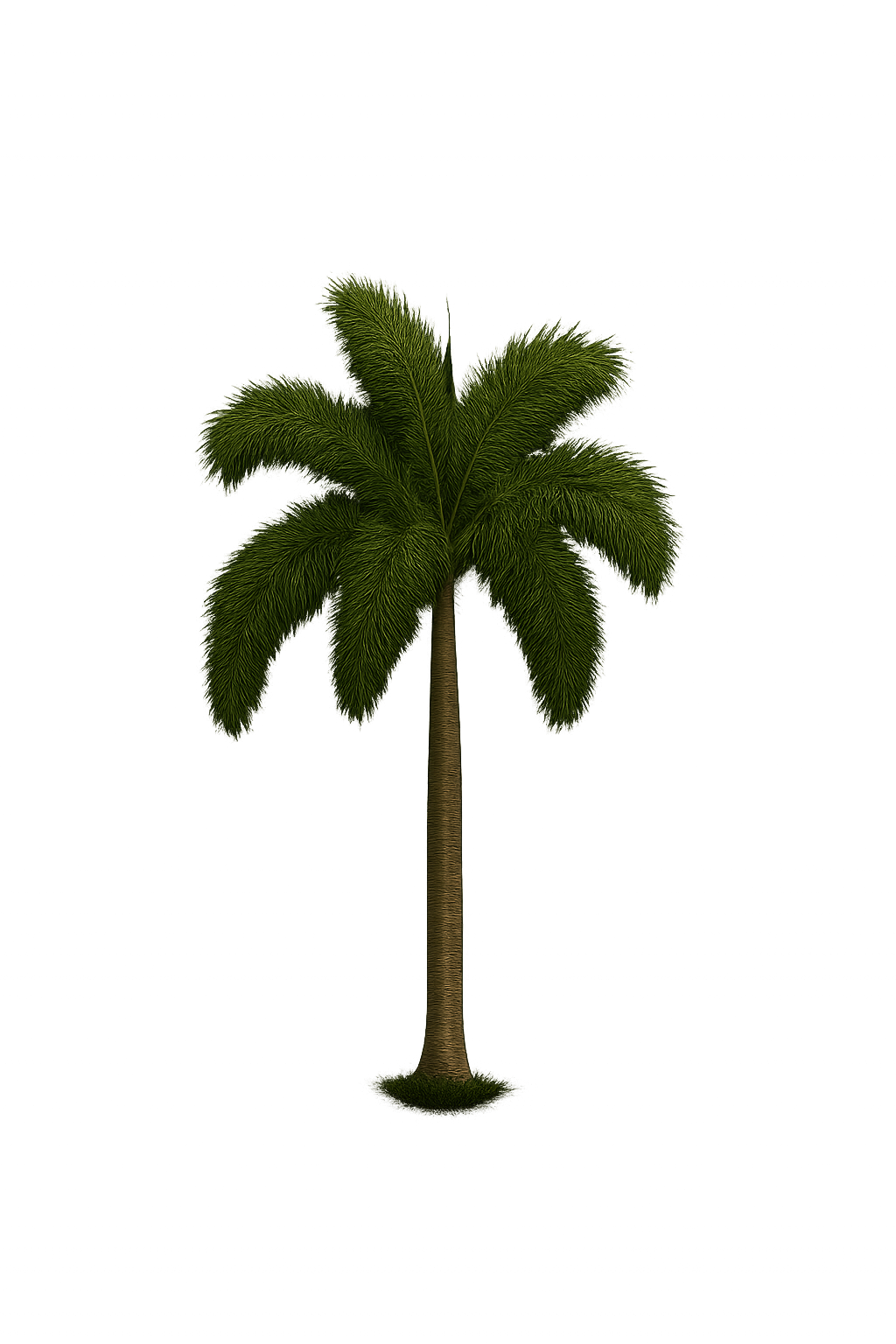 Palm Left